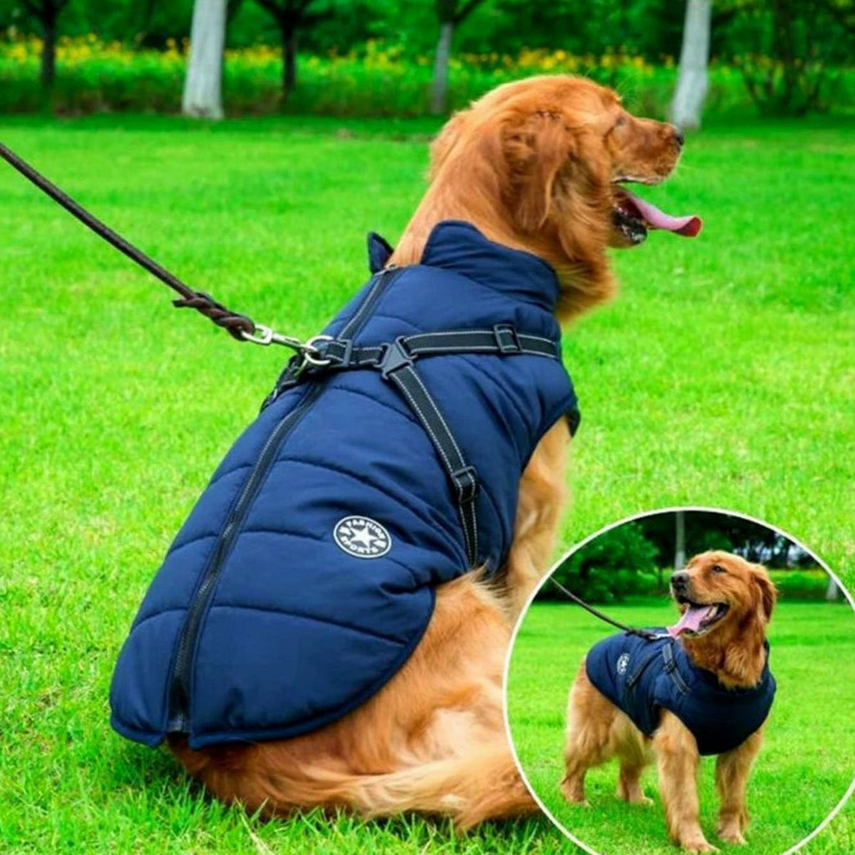 Waterproof Winter Dog Jacket with Integrated Harness - Blue