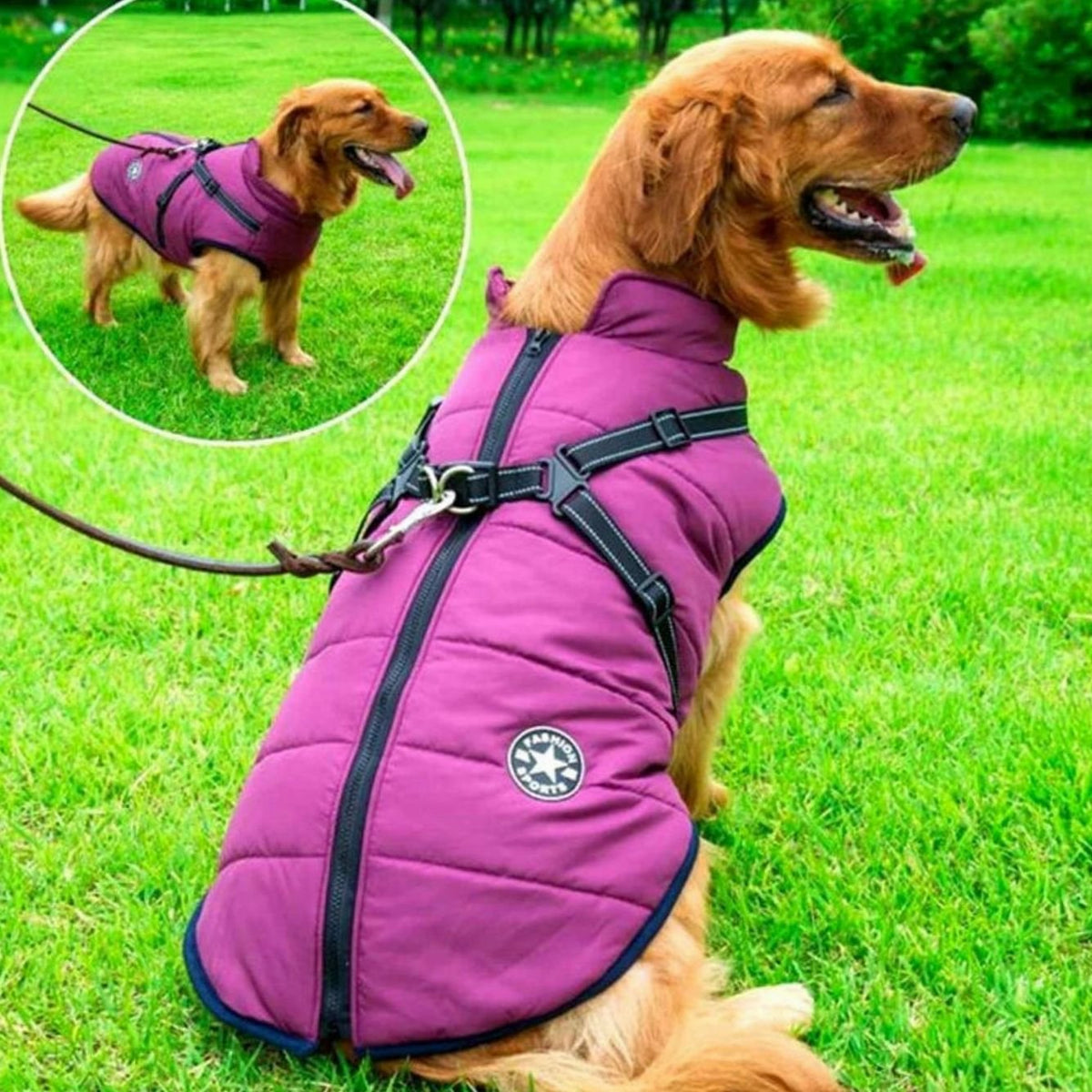Waterproof Winter Dog Jacket with Integrated Harness - Purple