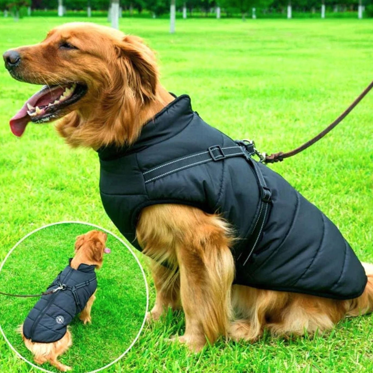 Waterproof Winter Dog Jacket with Integrated Harness - Black
