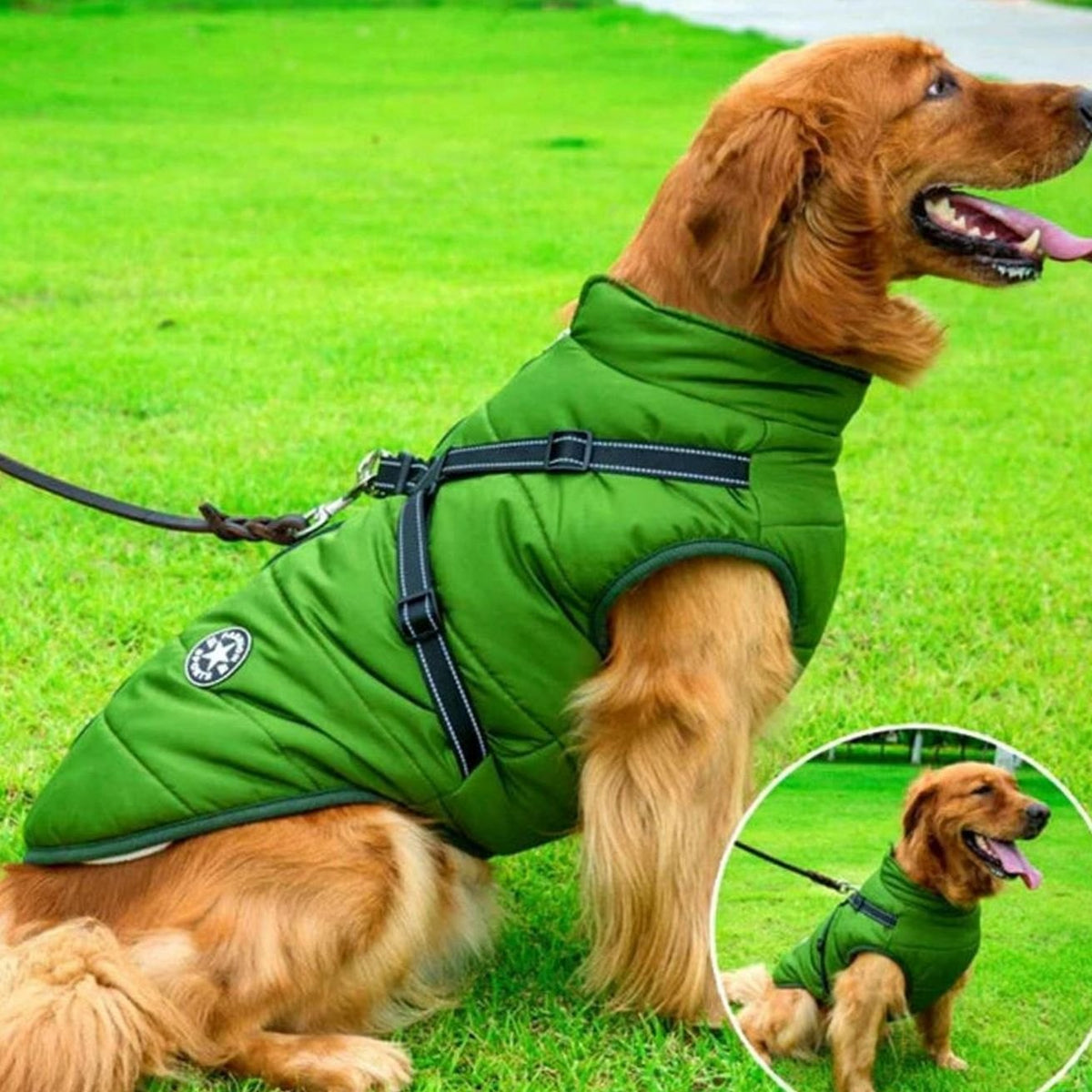Waterproof Winter Dog Jacket with Integrated Harness - Green