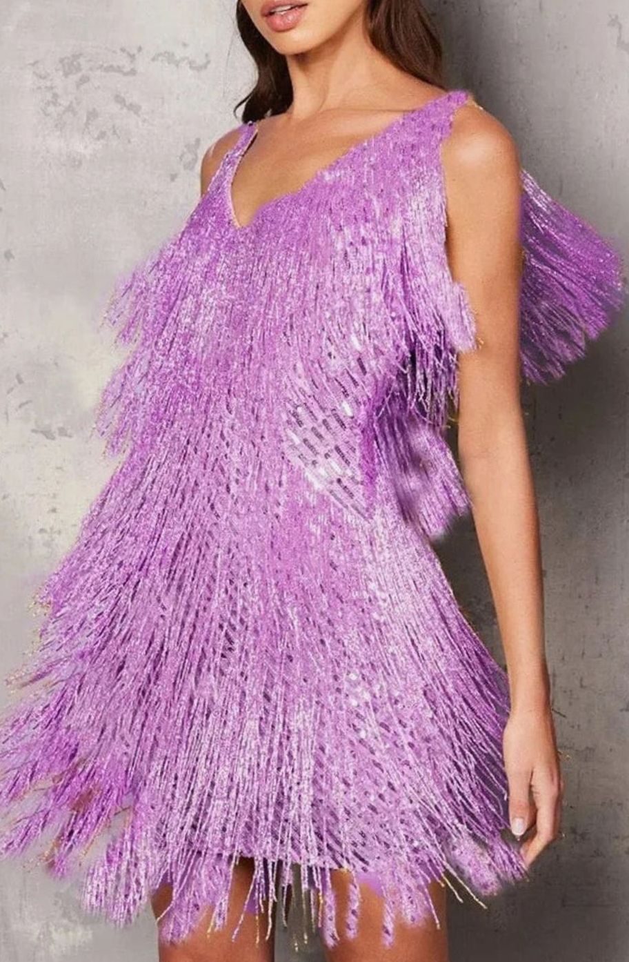 Women's A-Line Sequin Fringe Mini Christmas Party Dress - Purple