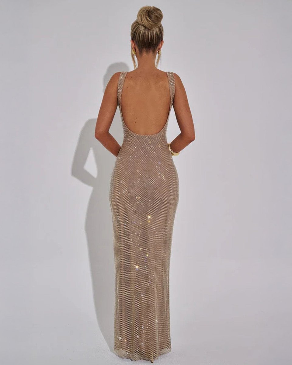Women's Sequin Embellished Sleeveless Maxi Evening Gown Dress