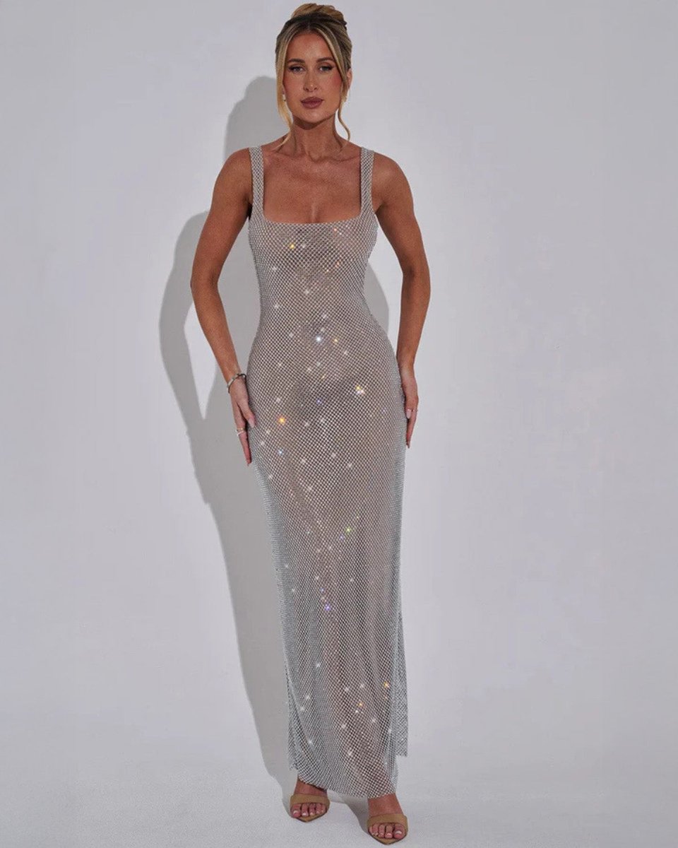 Women's Sequin Embellished Sleeveless Maxi Evening Gown Dress - Silver